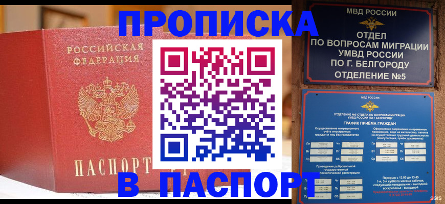 временная регистрация в квартире в Дальнегорске